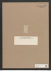 Navicula lyra var. ? Ehr. (de-Toni-Nr.: Genus 1, Species 327) Zeichnungen Sammlung Grunow Nr. 751 (NHMW-BOT-W0367145)